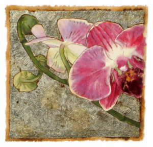 Orchid Series #12